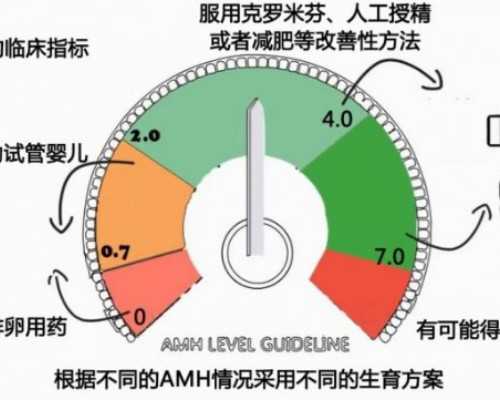 国内代孕的机构有哪些,44岁还能怀孕吗，44岁做试管婴儿*率有多少