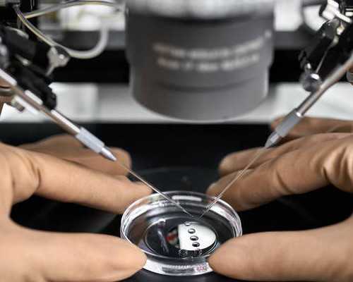 全国供卵中心医院排名,2026年俄罗斯6家核心试管婴儿医院*率统计