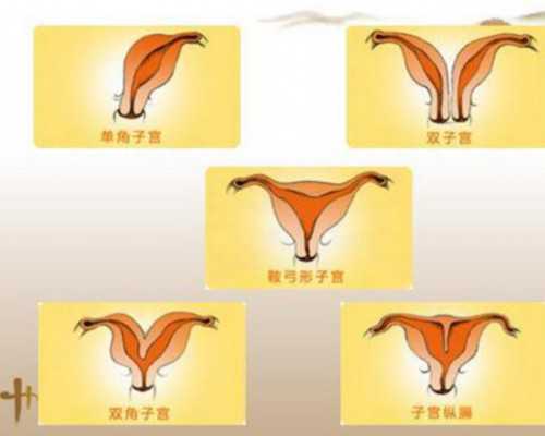 国内供卵在哪,单身未婚女性做试管婴儿费用是多少,附费用明细！